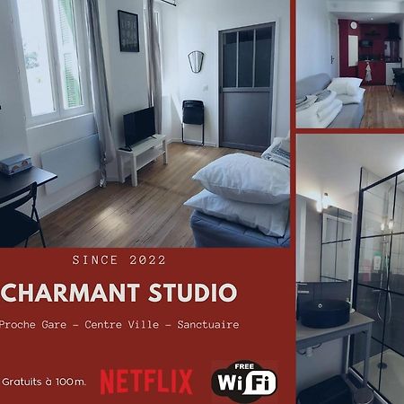 Charmant Studio Proche Centre Ville Et Gare Лурд Екстериор снимка