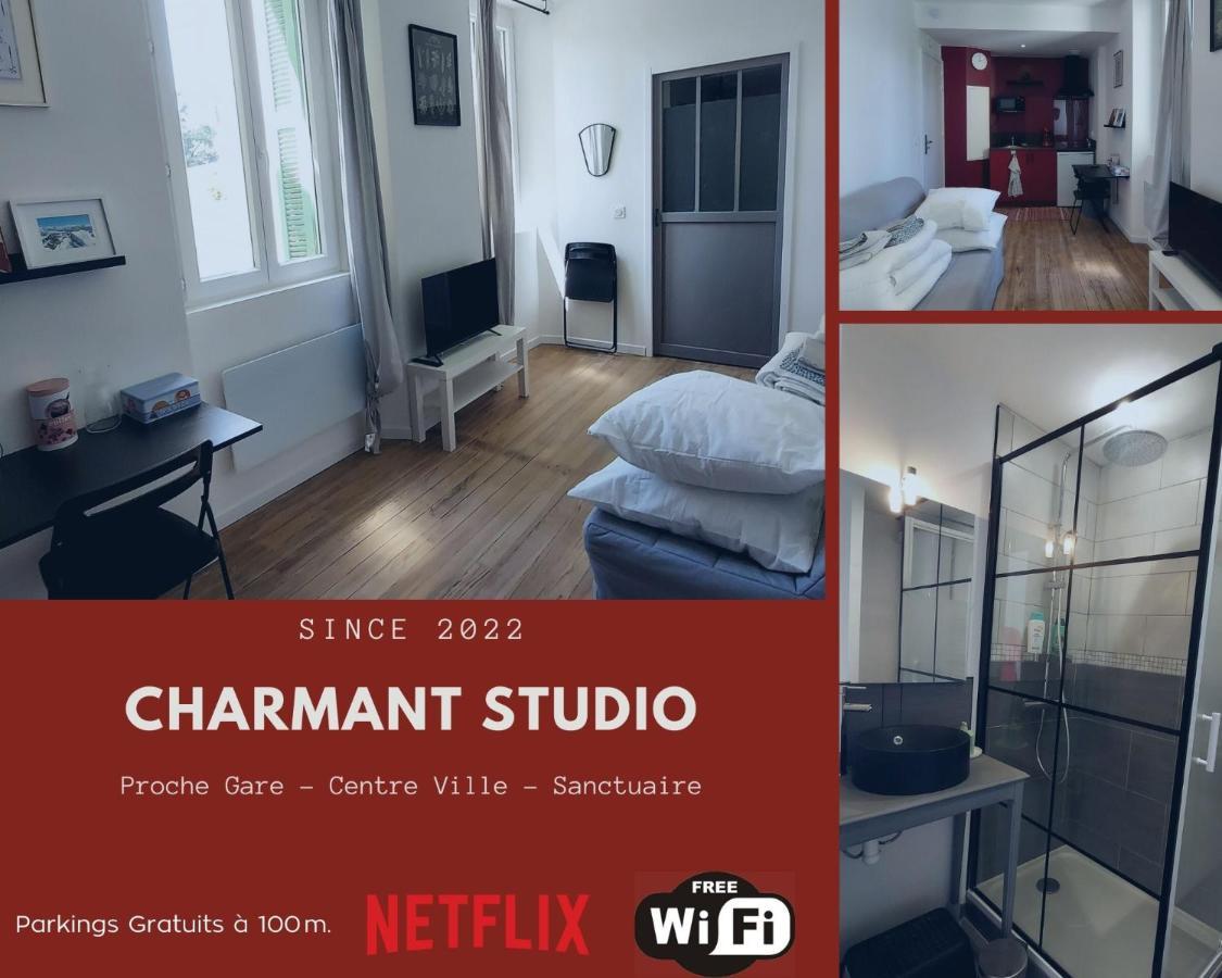 Charmant Studio Proche Centre Ville Et Gare Лурд Екстериор снимка